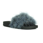 “Gray fur slides”