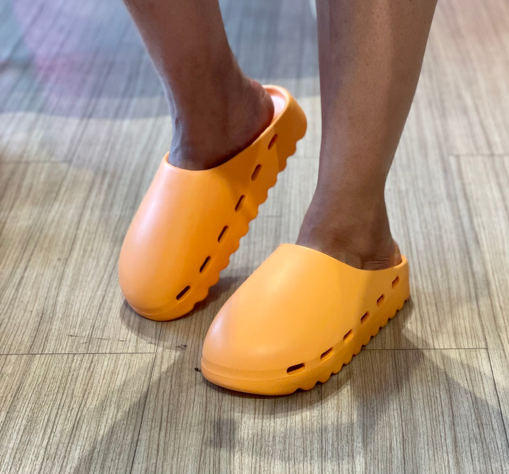 Santa Cruz Slide